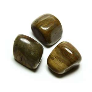 Petrified Wood - Tumble Crystals