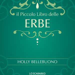 Little Book of Herbs